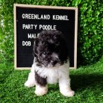 1658069867024