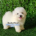 photo_2023-05-23_16-18-49