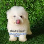 photo_2023-05-23_16-18-53