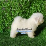 photo_2023-05-23_16-19-00