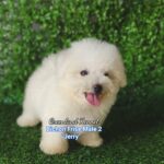 photo_2023-05-23_16-19-07