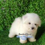 photo_2023-05-23_16-19-18