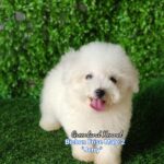 photo_2023-05-23_16-19-28