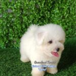 photo_2023-05-23_16-19-34