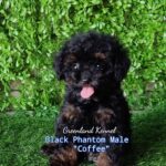 photo_2023-05-31_08-29-01