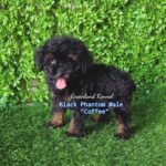 photo_2023-05-31_08-29-05