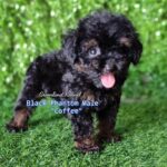 photo_2023-05-31_08-29-08