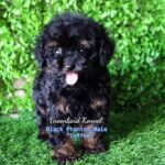 photo_2023-05-31_08-29-12