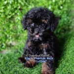 photo_2023-05-31_08-29-18