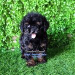 photo_2023-05-31_08-29-22