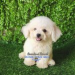 photo_2023-05-31_08-40-08