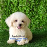 photo_2023-05-31_08-40-45