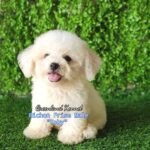 photo_2023-05-31_08-40-48