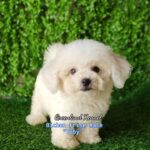 photo_2023-05-31_08-40-51