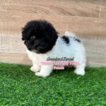 photo_6300734456960497015_y