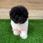 photo_6300734456960497016_y