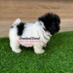 photo_6300734456960497026_y