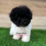 photo_6301029259220731350_y (1)